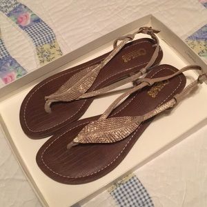 GOLD SANDALS! NEVER WORN!